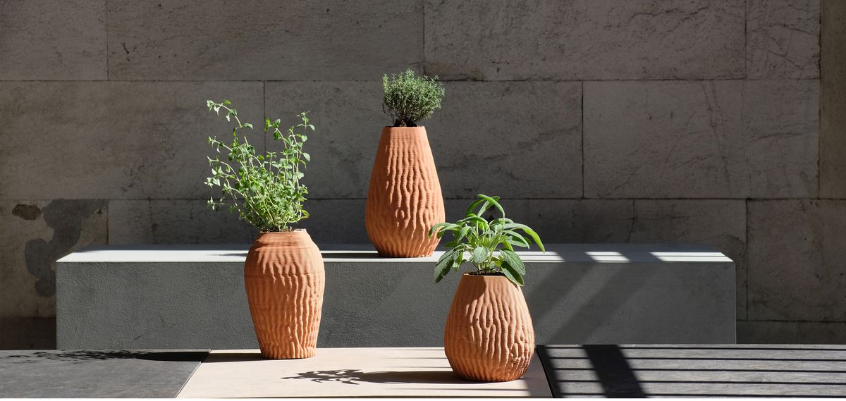 Radici terracotta vases